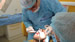 chirurgie implantolgie 2. DENTISTE ALGERIE